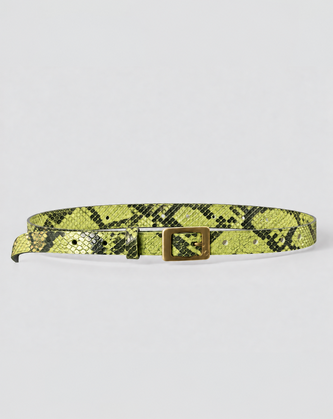 Refined Jean Belt - Lime Smoke Python