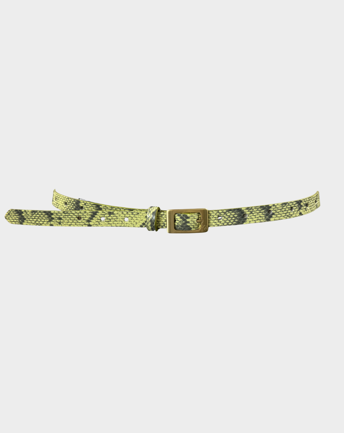 Refined Jean Belt - Lime Smoke Python