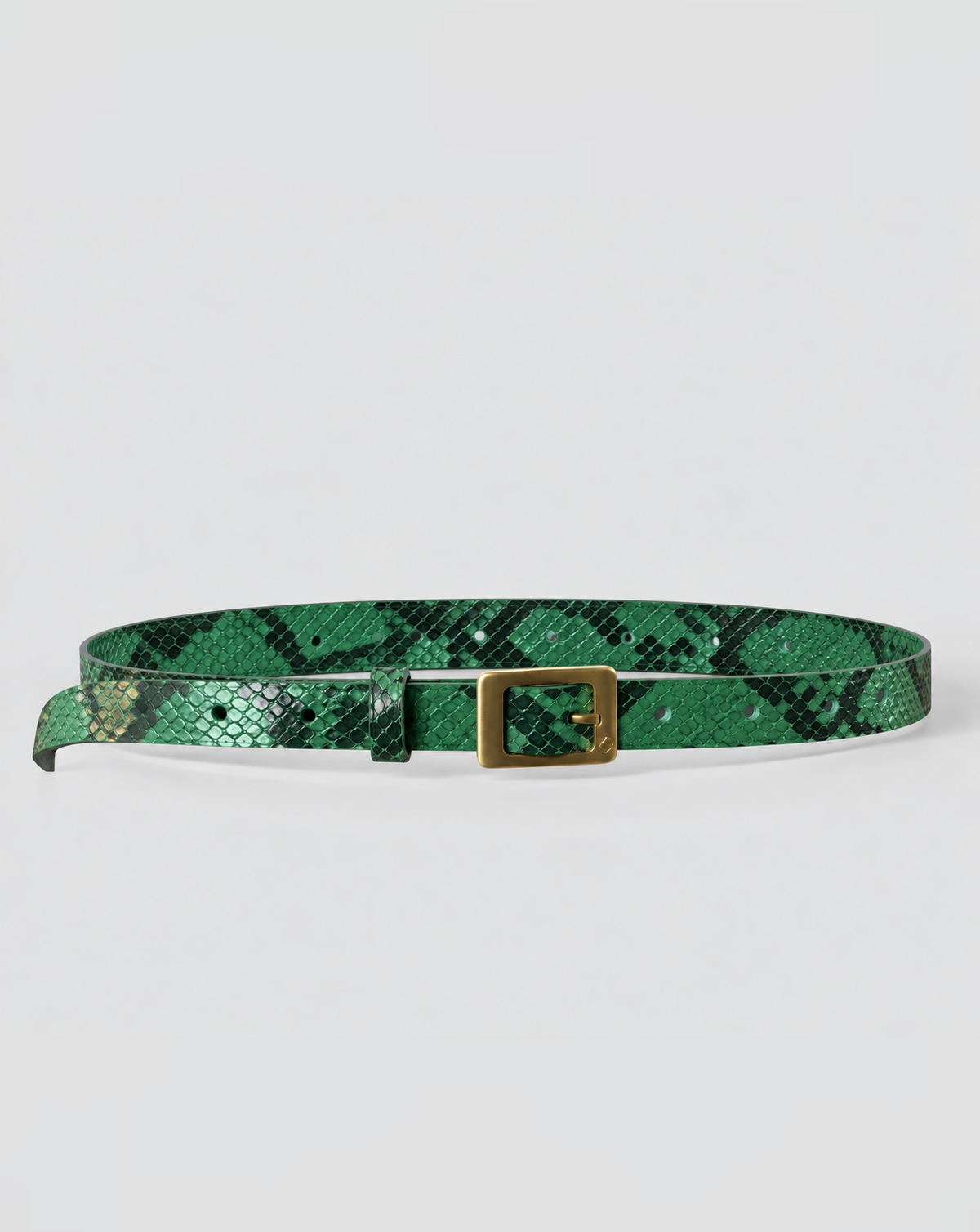 Refined Jean Belt - Green Python