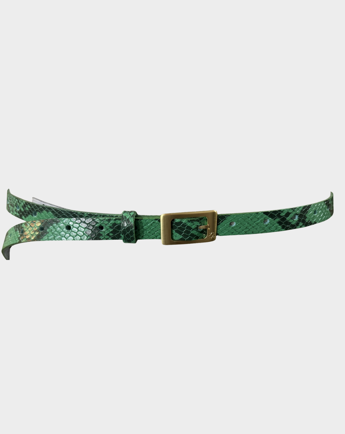 Refined Jean Belt - Green Python